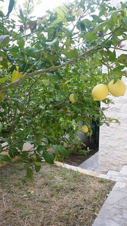 Vacation Villa Brac Splitska Εξωτερικό φωτογραφία